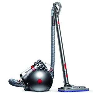 Dyson 100014-01 Cinetic Big Ball AnimalPro